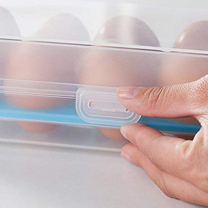 CSM ® Plastic Tray Storage Box for 10 Eggs (TRANSPARENT)